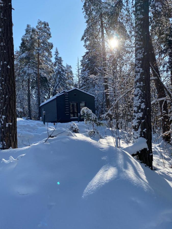 Tammikon Tupa Villa Tuusula Exterior foto